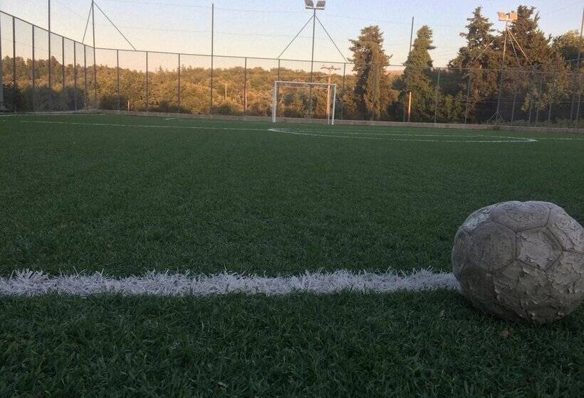 Hôtel Mountain Vista Resort