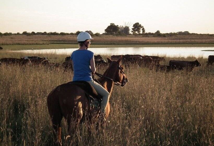 فندق ريفى Estancia La Rosita