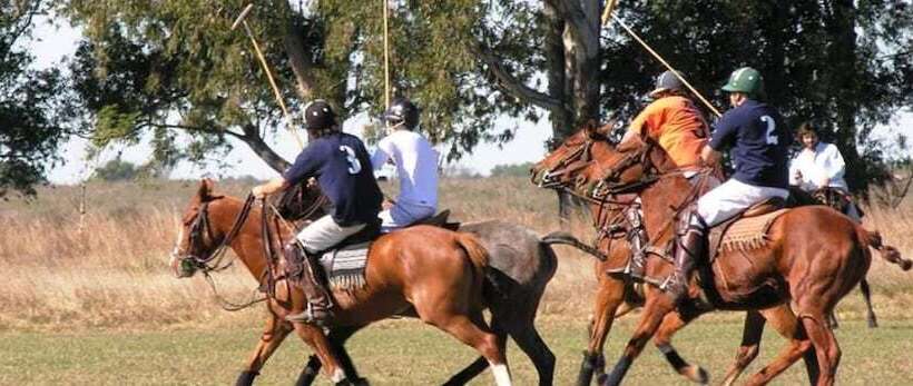 فندق ريفى Estancia La Rosita