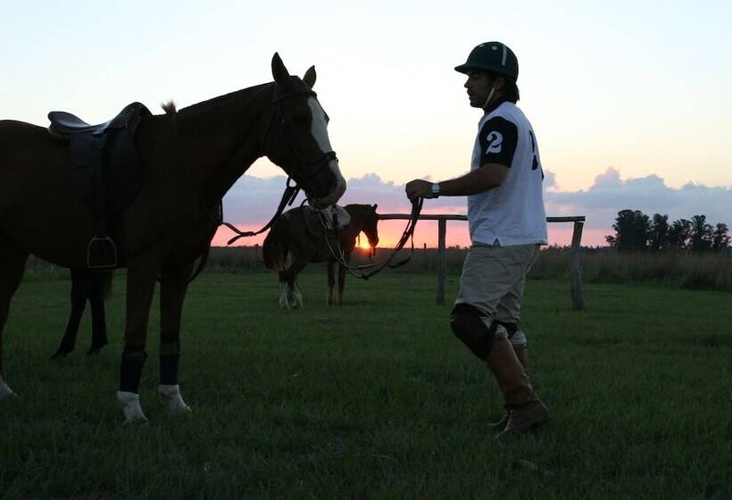 فندق ريفى Estancia La Rosita