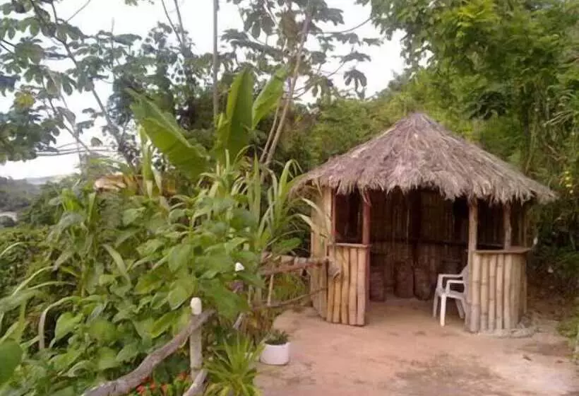 هتل Treasure S Comfort Inn