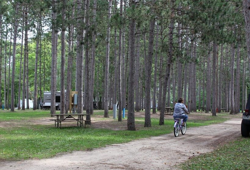 호텔 Yukon Trails Rv & Camping Resort