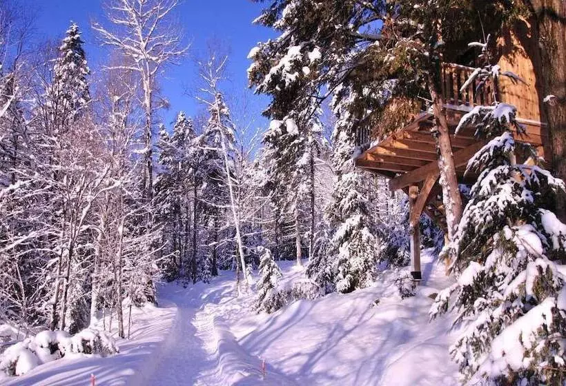 Les Chalets Du Trappeur