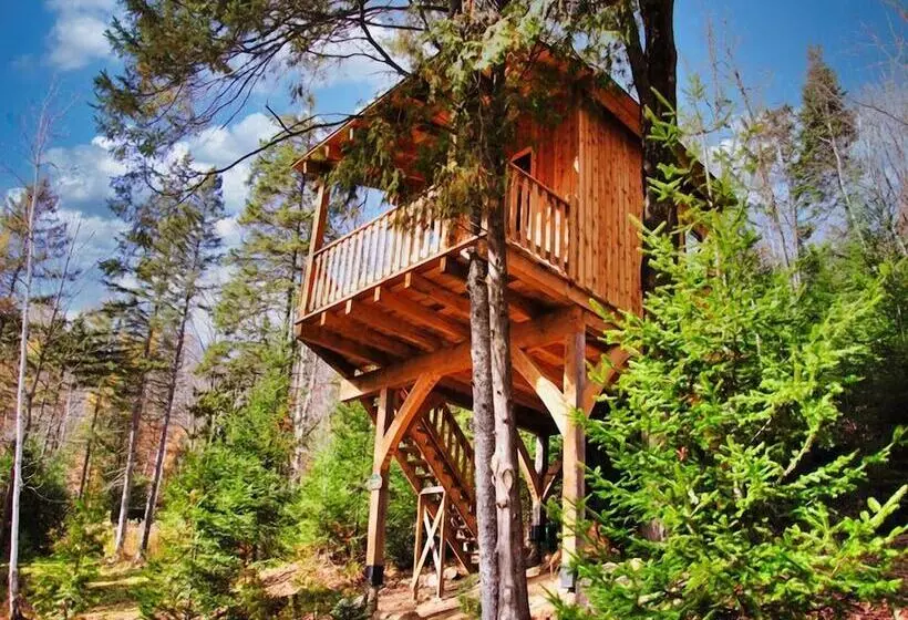 Les Chalets Du Trappeur