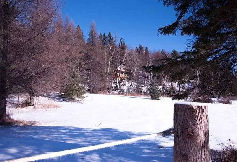 Les Chalets Du Trappeur