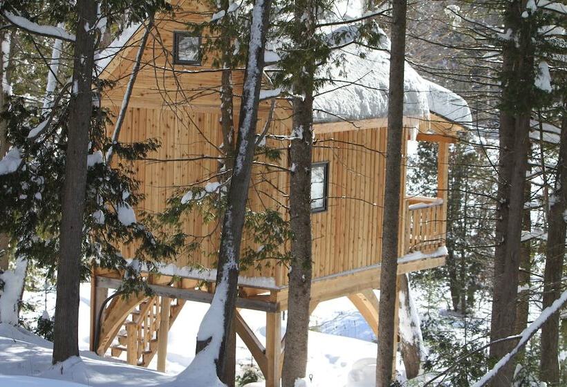 Les Chalets Du Trappeur