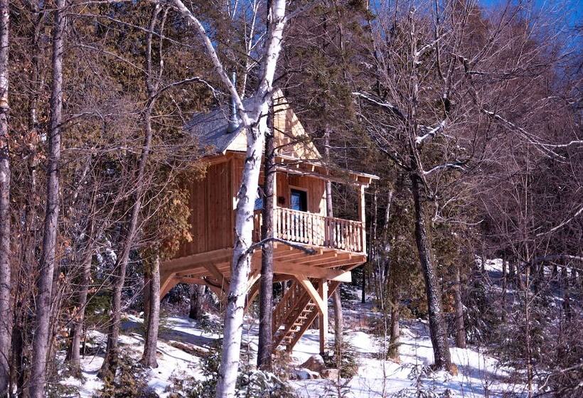 Les Chalets Du Trappeur