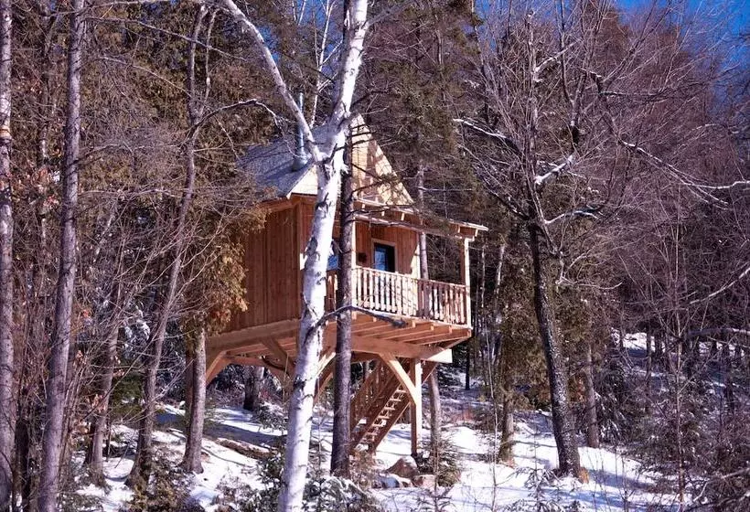 Les Chalets Du Trappeur