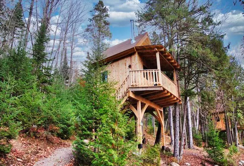 Les Chalets Du Trappeur