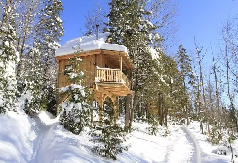 Les Chalets Du Trappeur