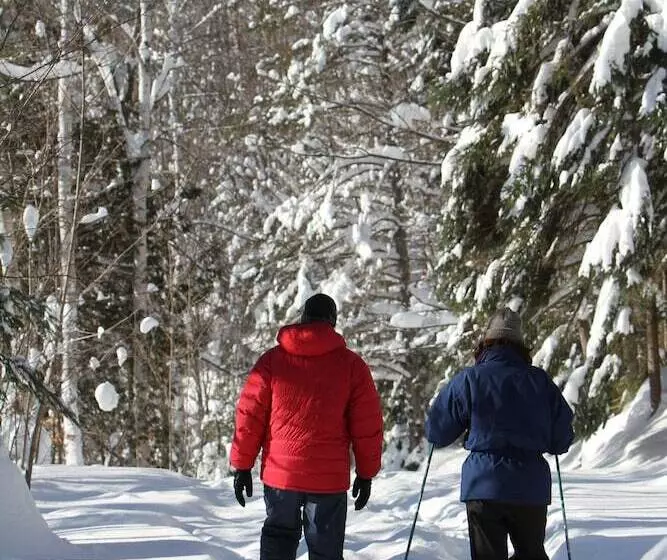 Les Chalets Du Trappeur