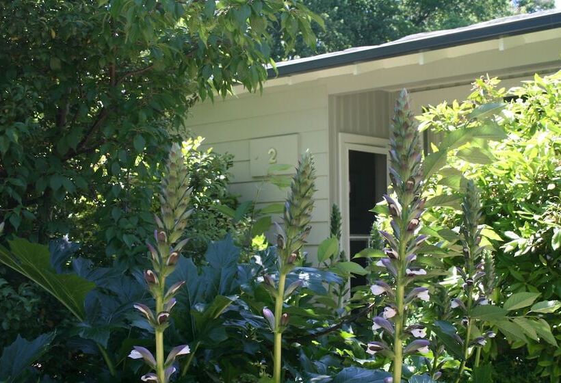 モーテル Elm Lodge Bright