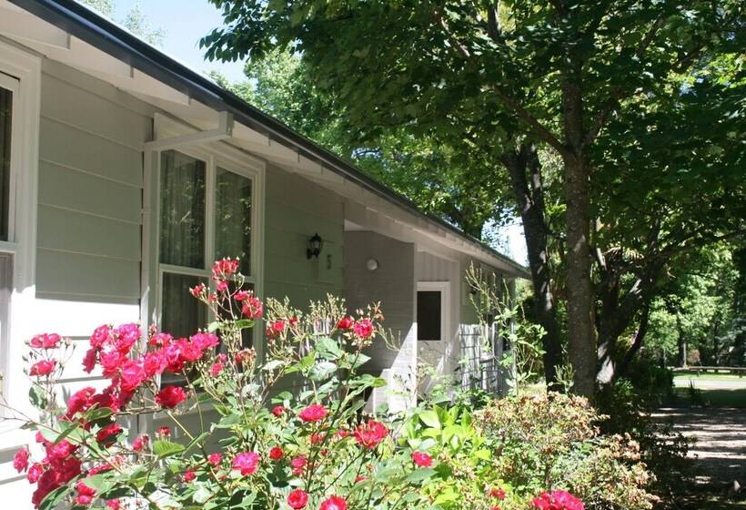 モーテル Elm Lodge Bright