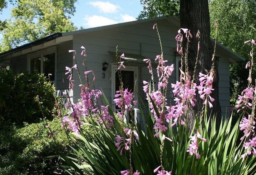 モーテル Elm Lodge Bright