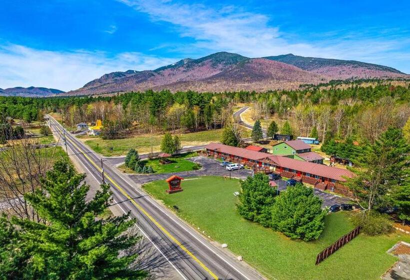 モーテル Wolfjaw Lodge