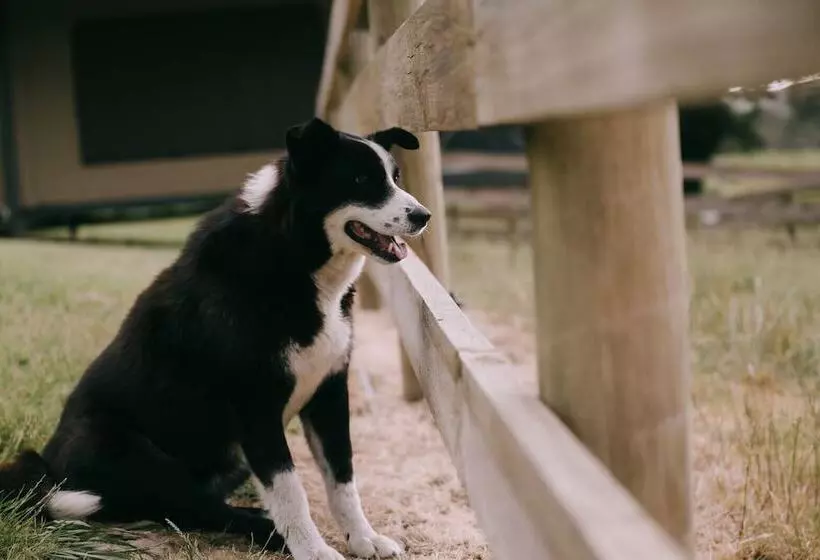 ペンション Flowerdale Estate