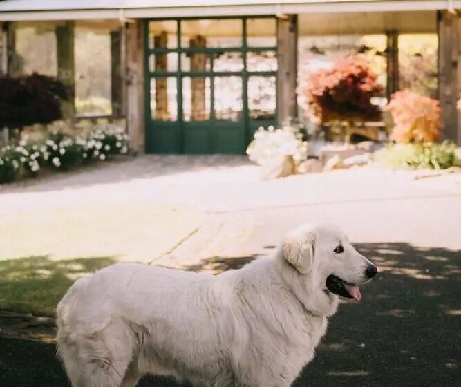 ペンション Flowerdale Estate