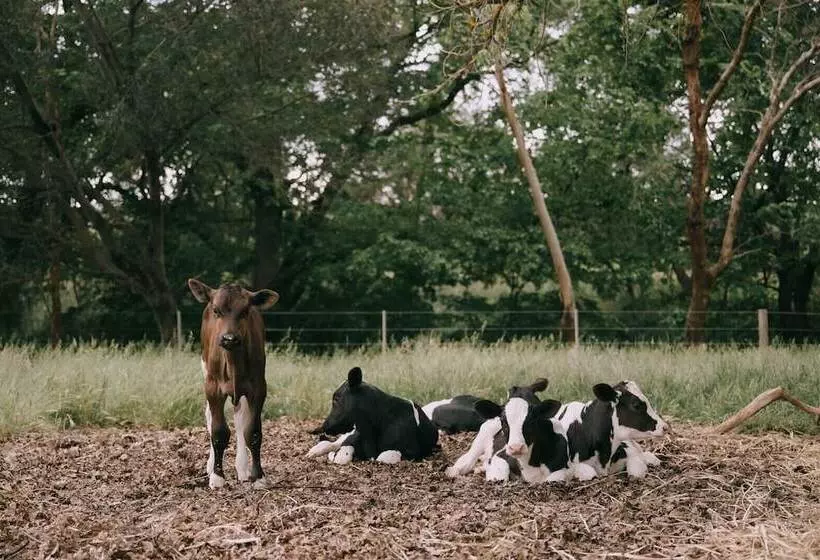 ペンション Flowerdale Estate