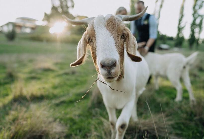 Пансион Flowerdale Estate