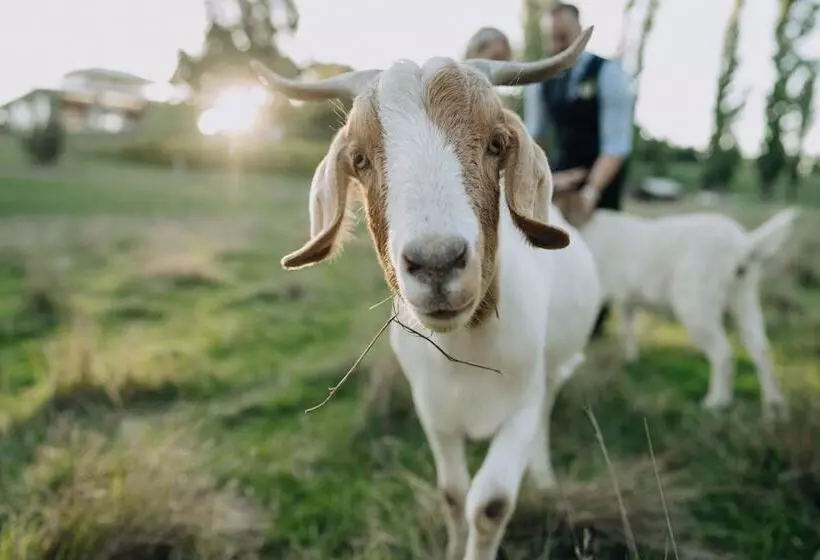 ペンション Flowerdale Estate