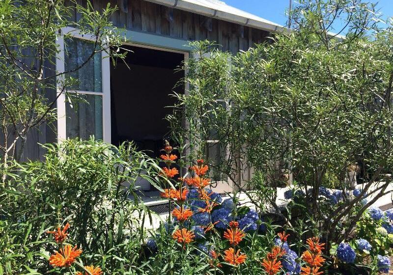 ペンション Mangawhai Chalets