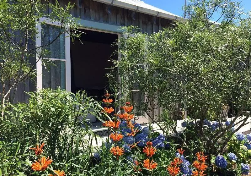 Majatalo Mangawhai Chalets