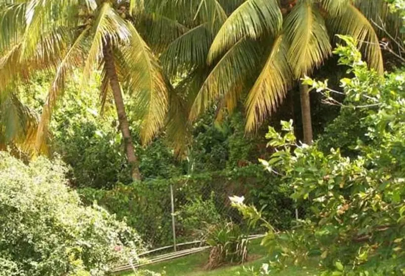 پانسیون Rnm The Clubhouse Grenada