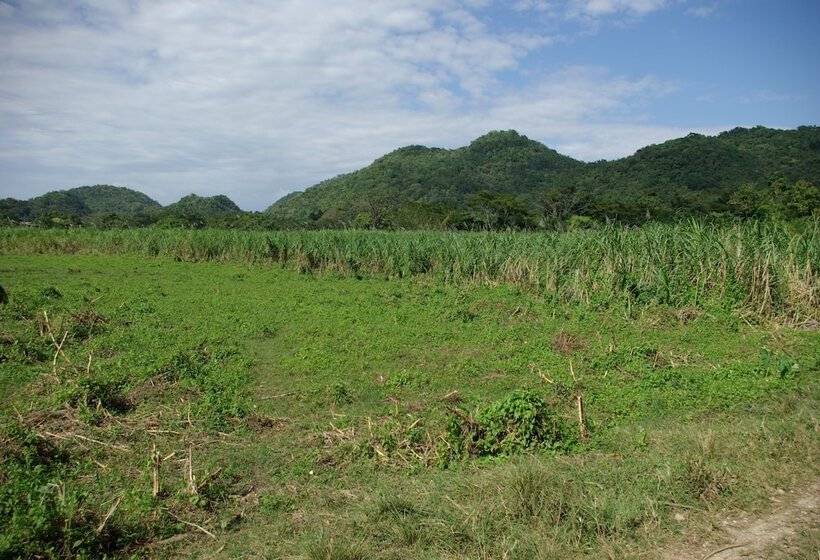 پانسیون Sunset Heal Jamaica