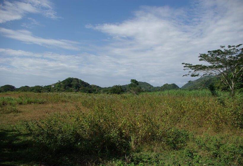 پانسیون Sunset Heal Jamaica