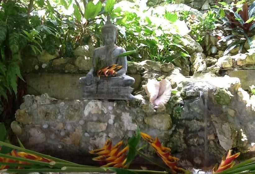 پانسیون Sunset Heal Jamaica