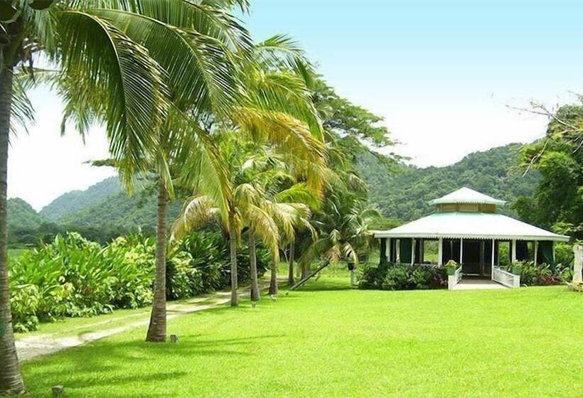 پانسیون Sunset Heal Jamaica