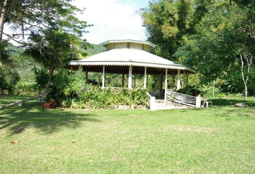 پانسیون Sunset Heal Jamaica