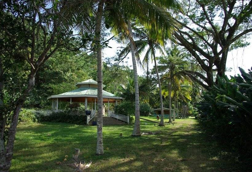 پانسیون Sunset Heal Jamaica