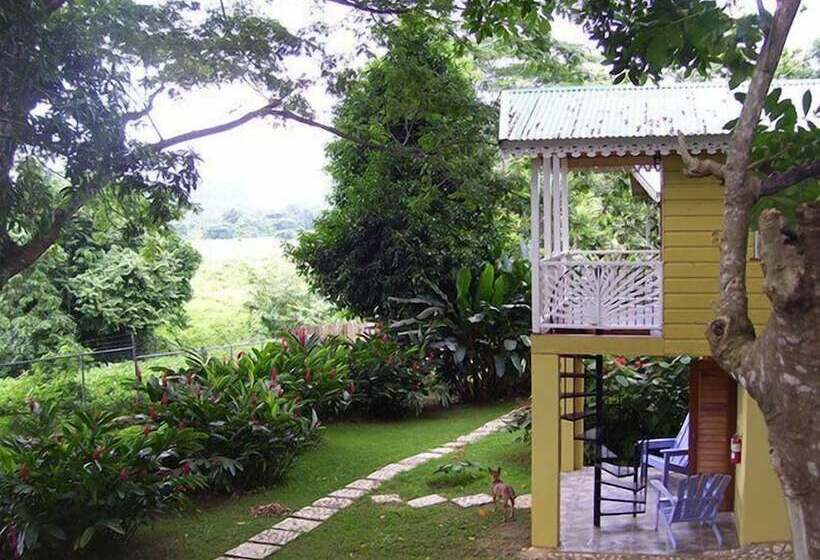 پانسیون Sunset Heal Jamaica