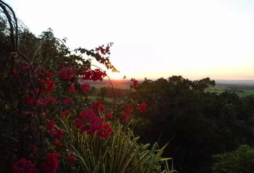 پانسیون Sunset Heal Jamaica