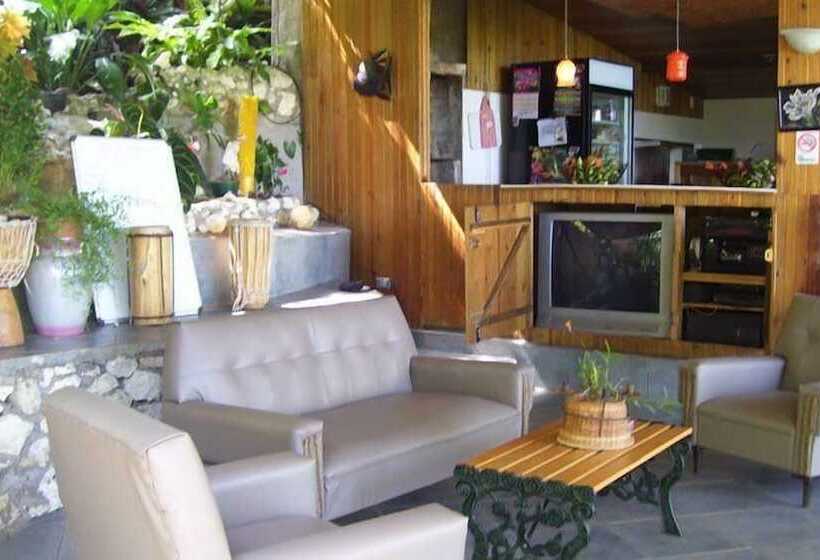 پانسیون Sunset Heal Jamaica