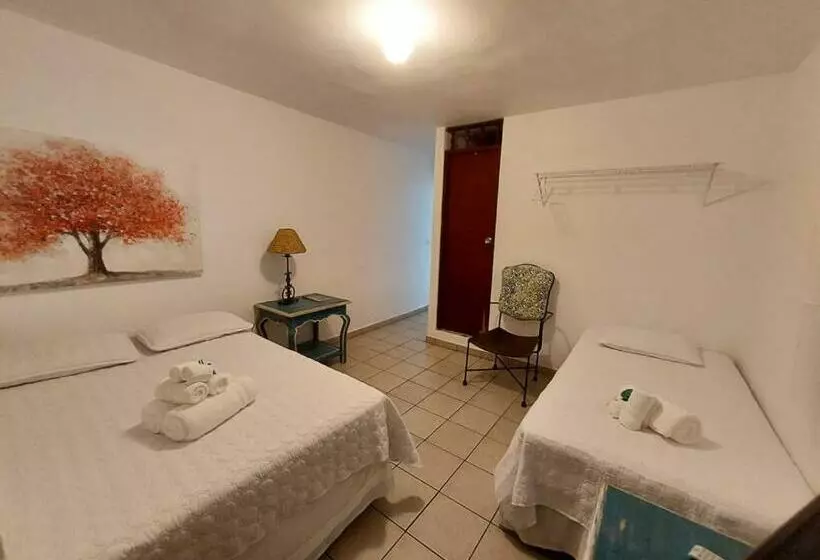 پانسیون Vieques Tropical Guest House