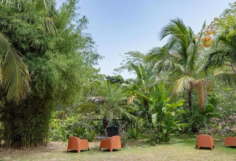 پانسیون Vieques Tropical Guest House