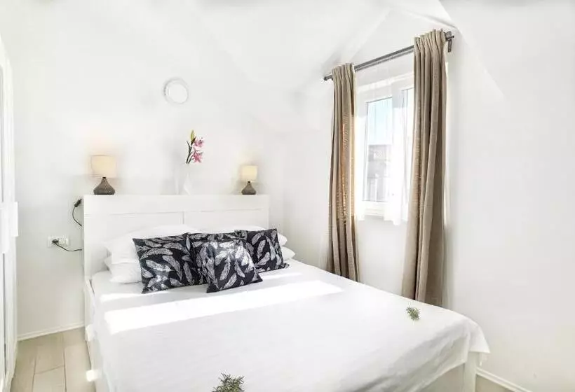 旅馆 Boutique Hotel Alegria