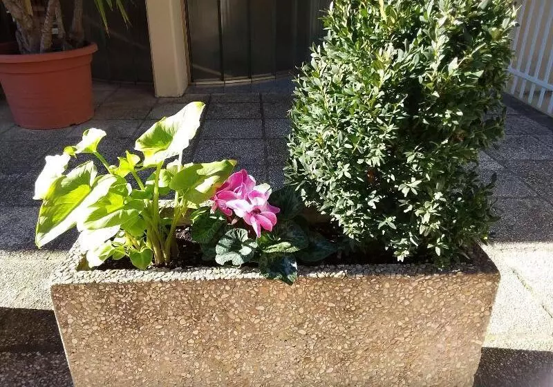 هتل Albergo Nyers