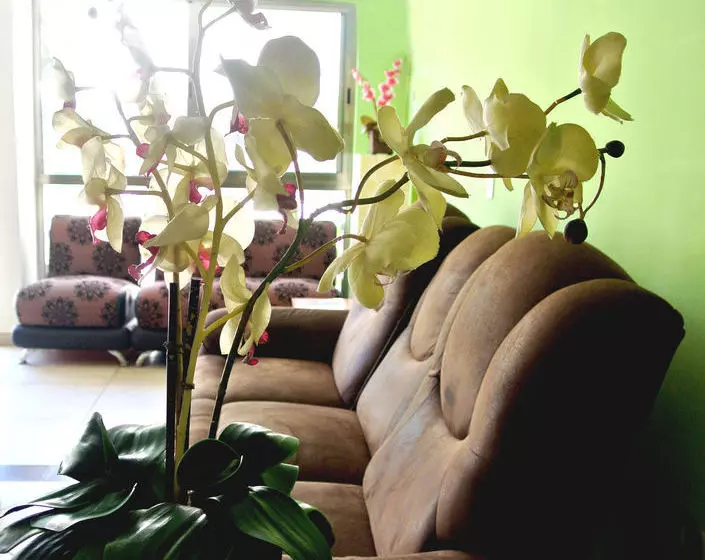 בית מלון כפרי Maya Del Centro