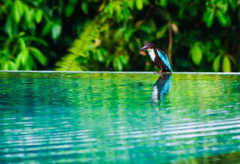 בית מלון כפרי Garcinia Leaf