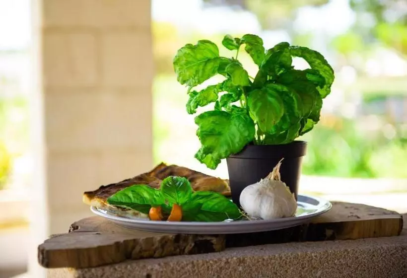 酒店 Villa Conca Marco