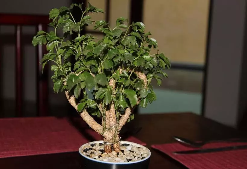 Natures Bliss Holidays