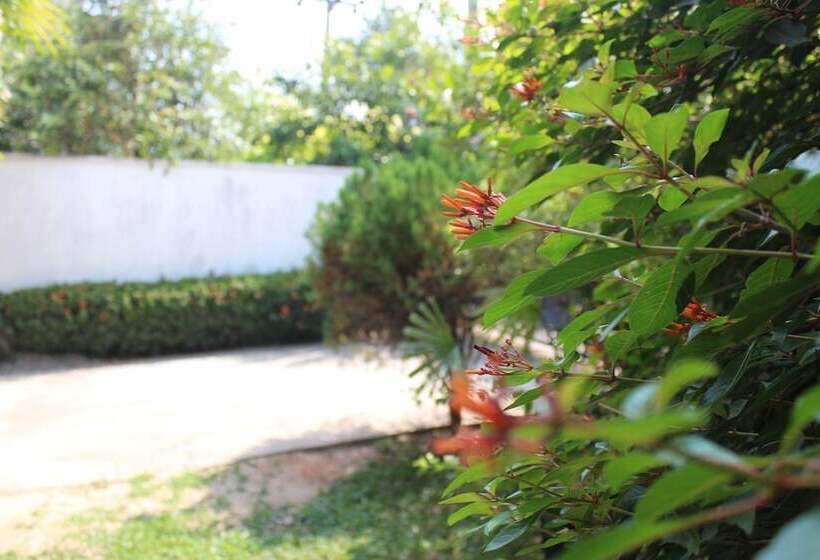 Natures Bliss Holidays