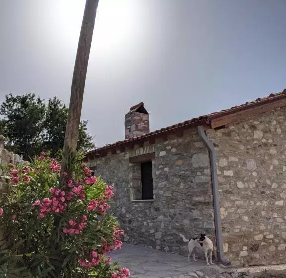 Pensão Bahab Guest House