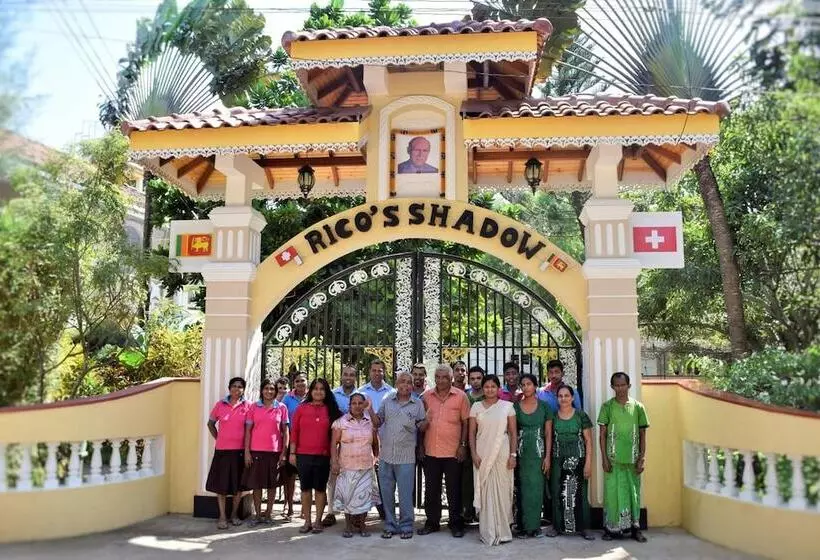 Пансион Rico Shadow Guest House