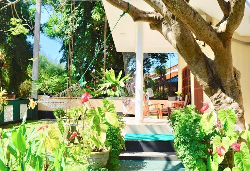 펜션 Rico Shadow Guest House