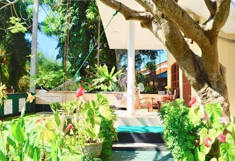 Пансион Rico Shadow Guest House