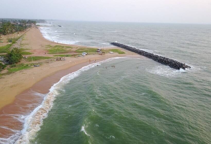 펜션 Rico Shadow Guest House